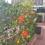 Martina Apartment 67 Sur Y Sol Los Cristianos