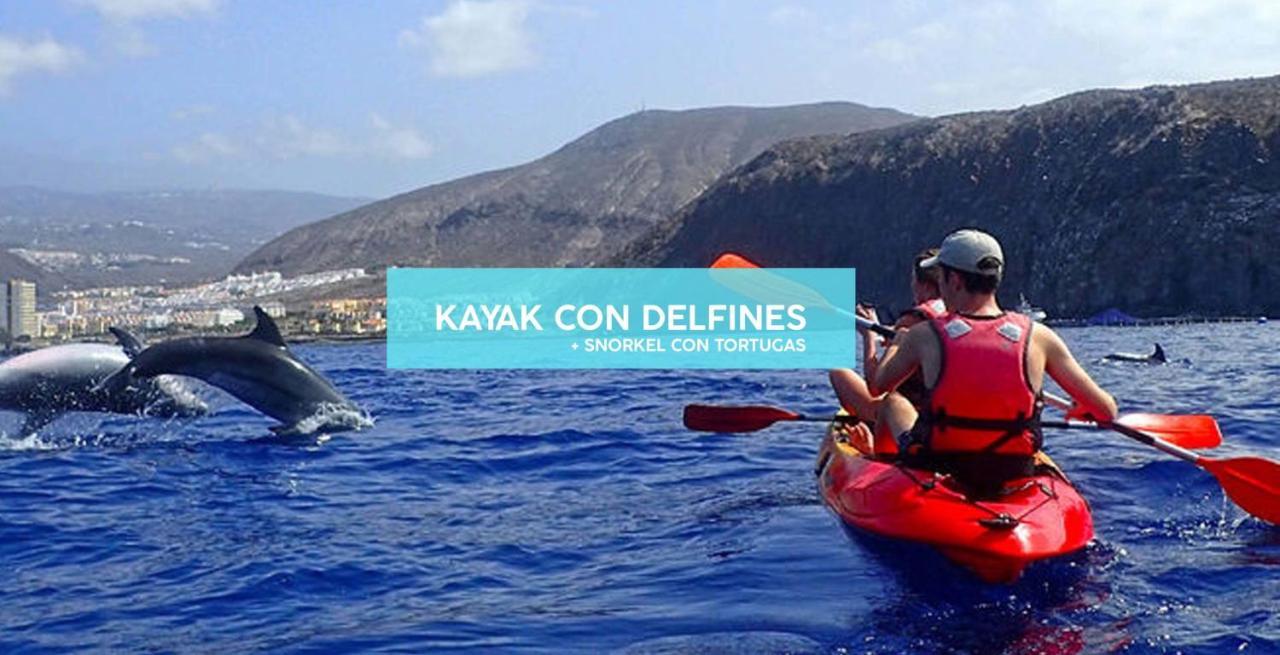 Playa Guest house Los Cristianos (Tenerife)