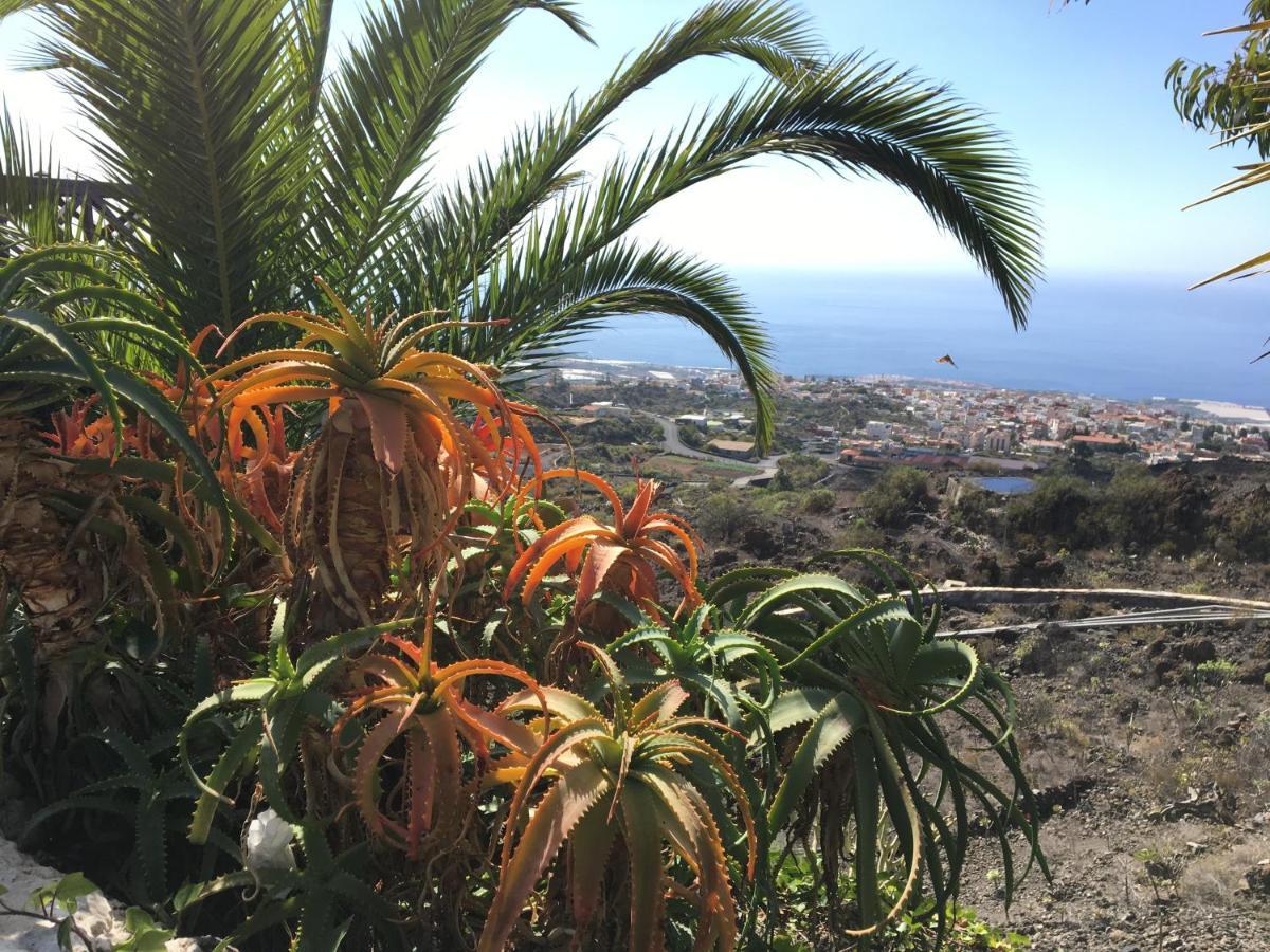 Rosamar Appartement Los Cristianos (Tenerife)