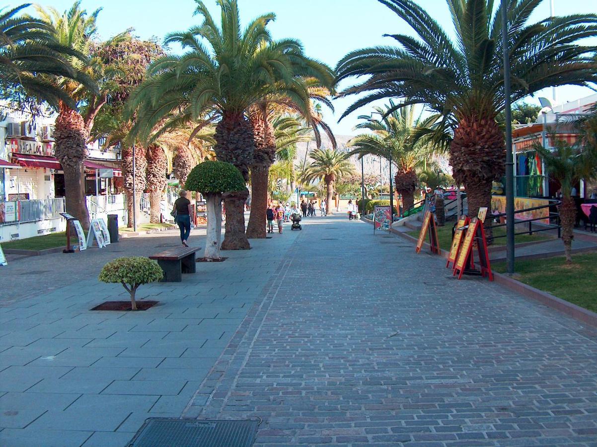 Appartement Sun Terrace Cristianos By Helloapartments Los Cristianos (Tenerife)