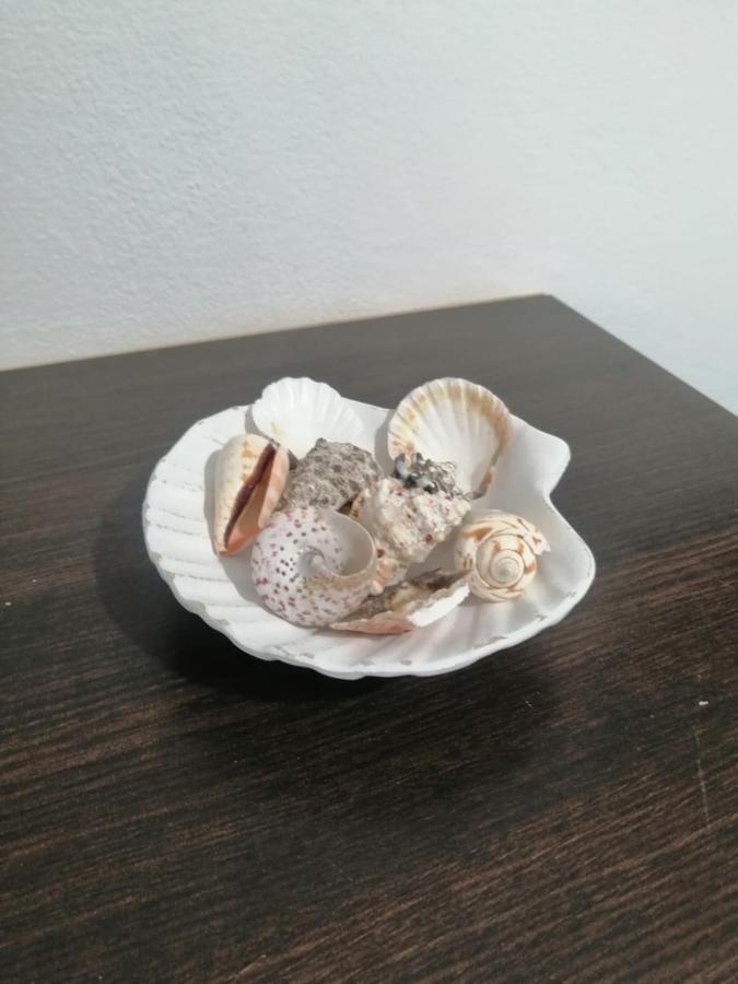 Playa Guest house