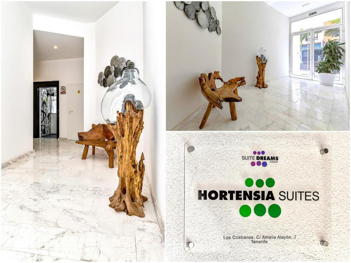 Apartment Luxury Penthouse Sea View, Cristianos Los Cristianos (Tenerife)