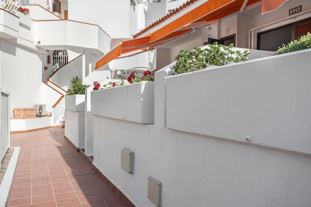 Molton Tenerife 1 *