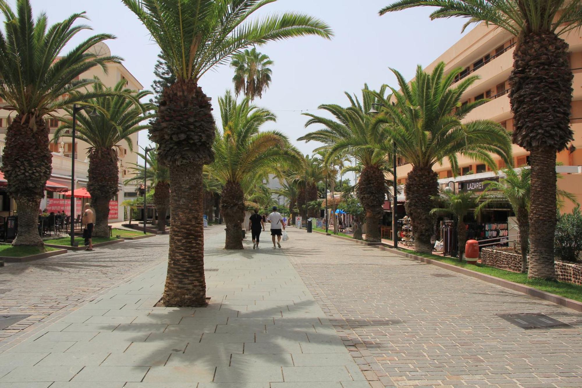 Cristianos - Two Bedrooms - Flayla-c Apartment Los Cristianos (Tenerife)