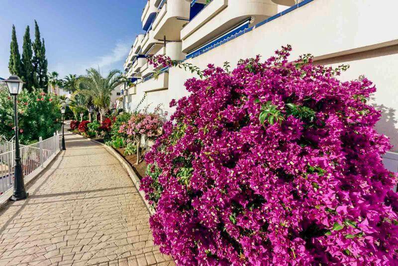 Apartment Large Direct Ocean Front 4bd *