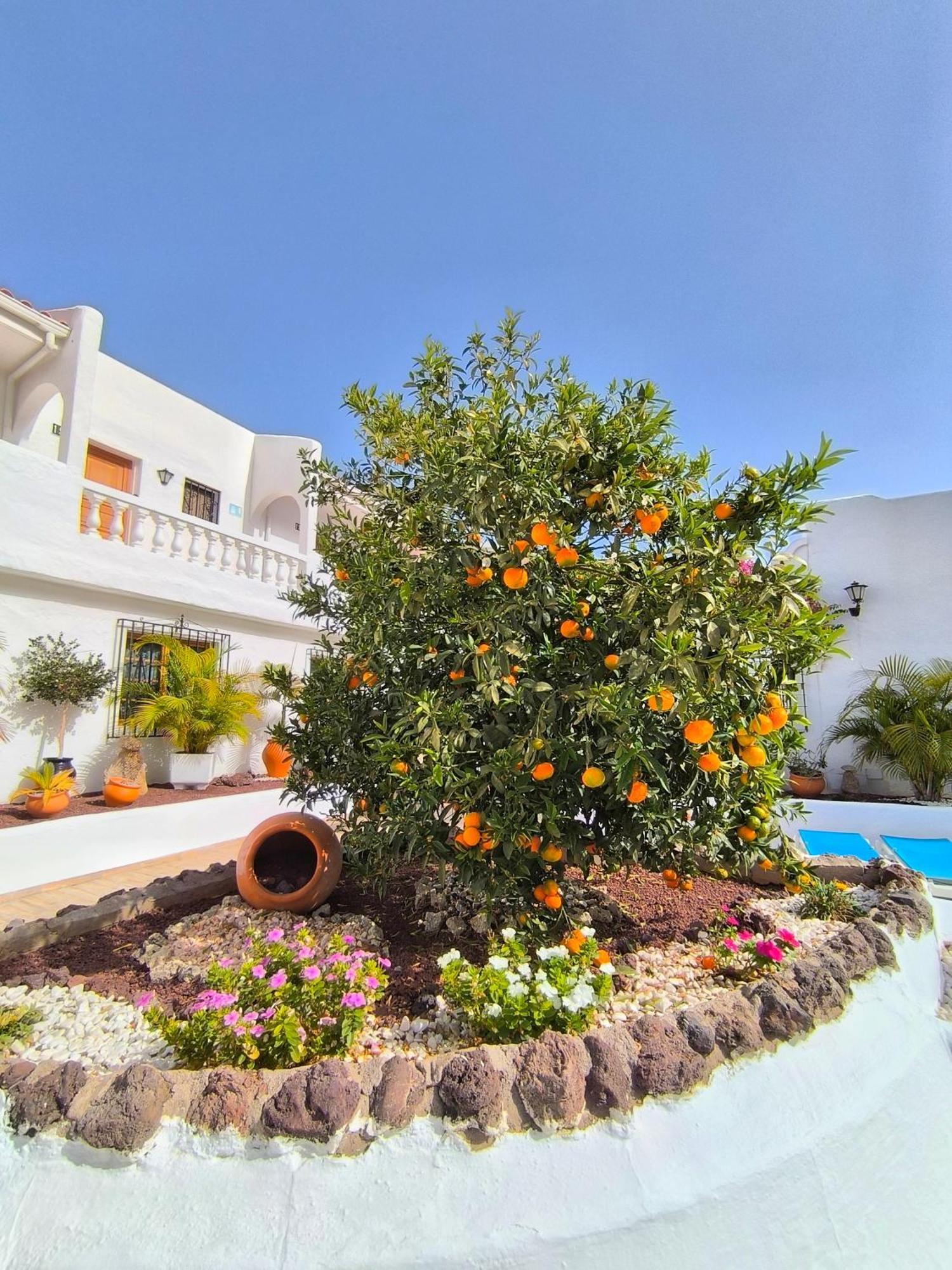 Cristianos - Breathtaking View, Ac, Heated Pool, Fibre Net Apartment