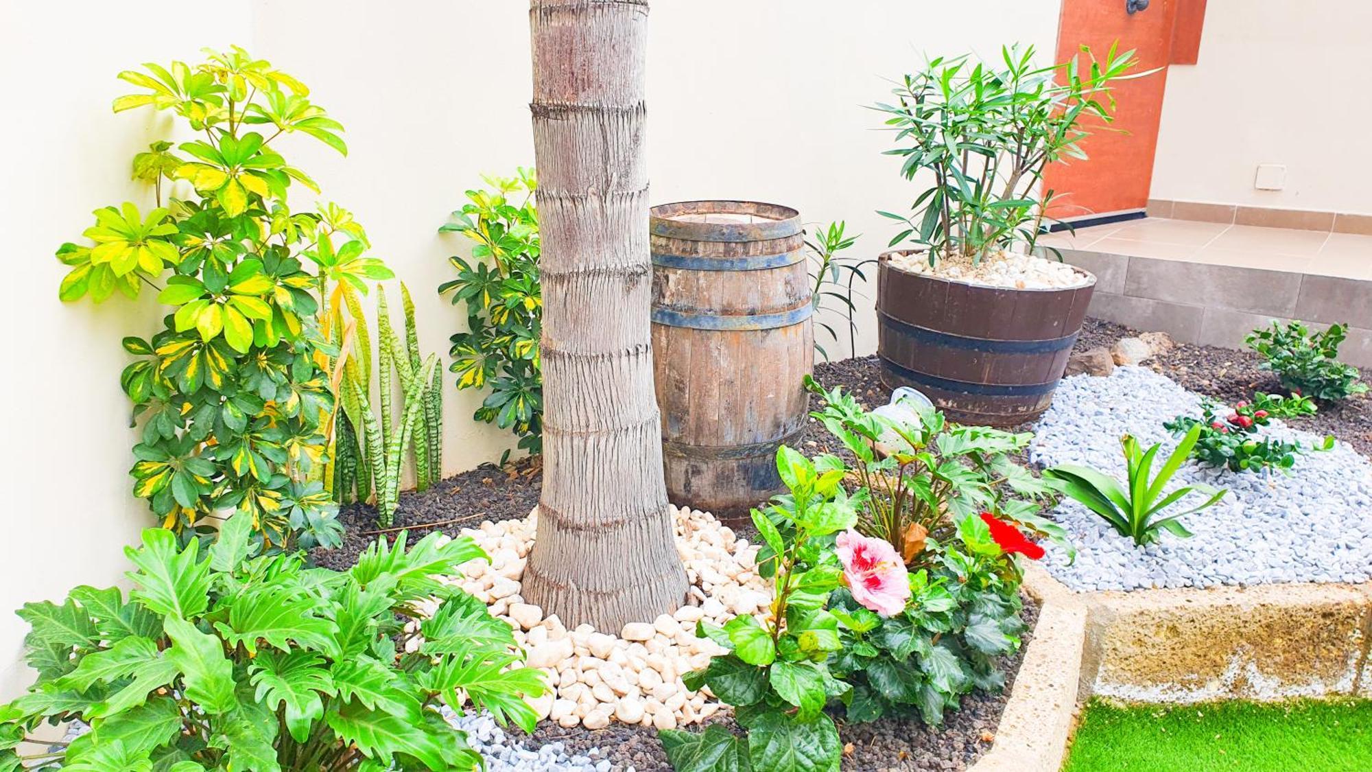Villa 4-bedroom Corales With Jacuzzi, Garden, Close To Everything *