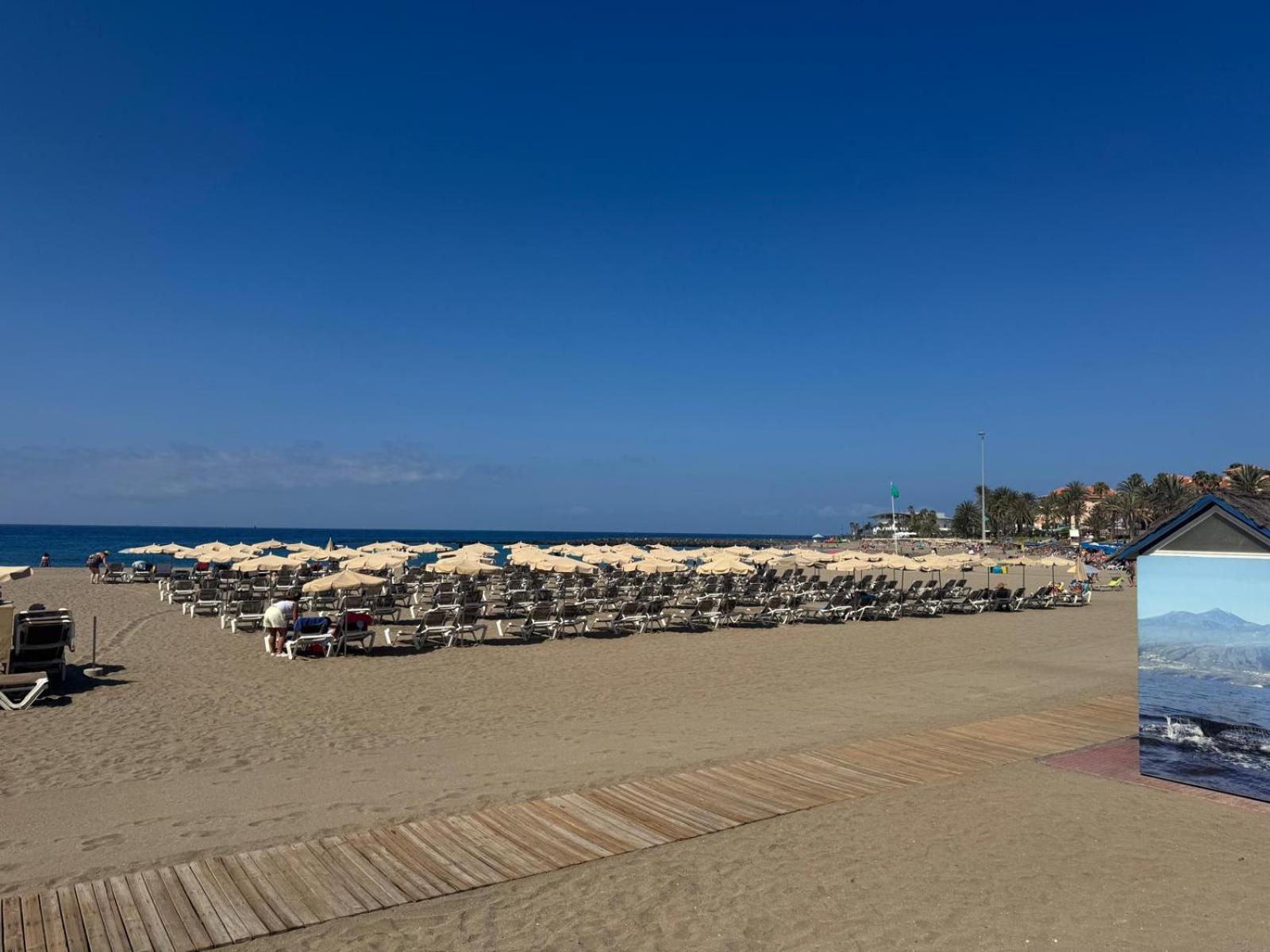 Eleonora Sweet Los Cristianos (Tenerife)