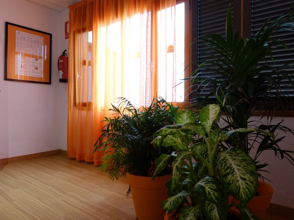 Hotel Andrea's Los Cristianos (Tenerife)