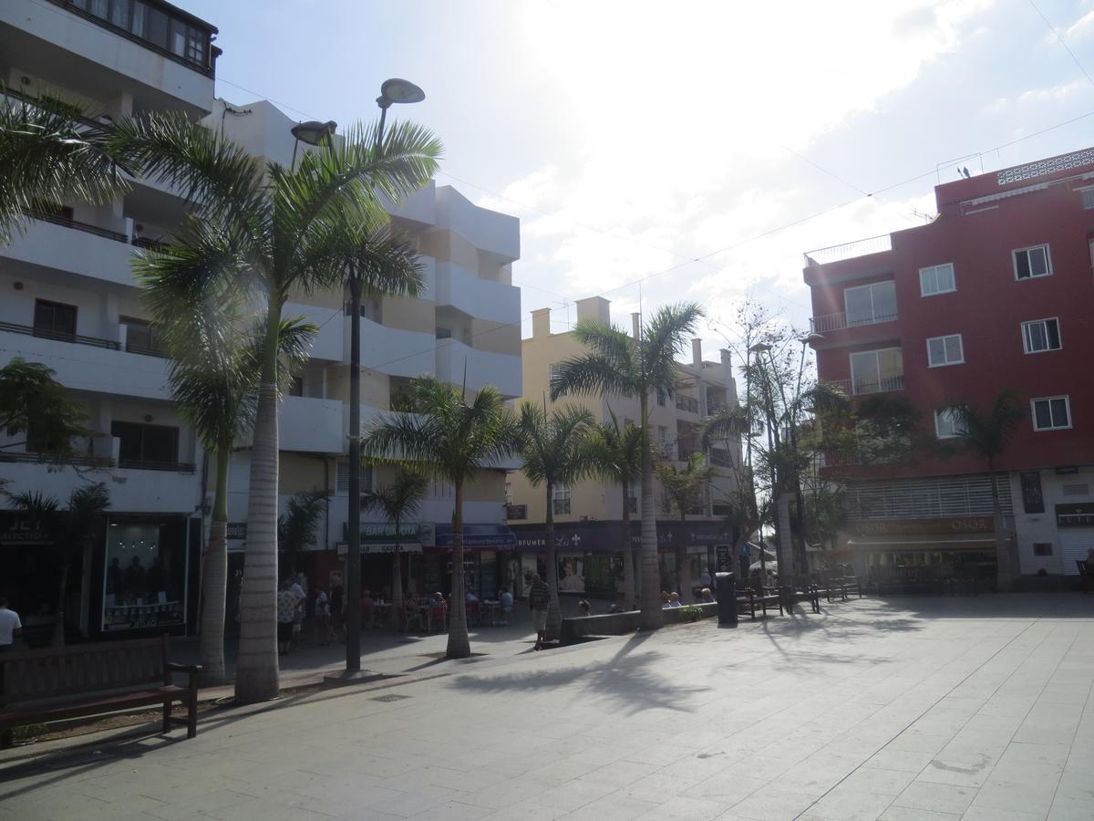 Apartment Edificio Gavota