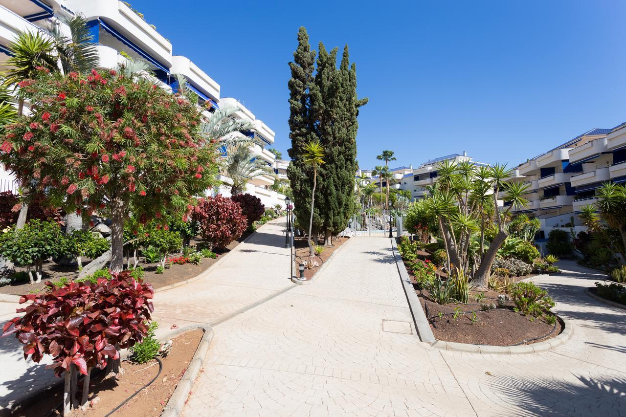El Ancla Apartment Los Cristianos (Tenerife)