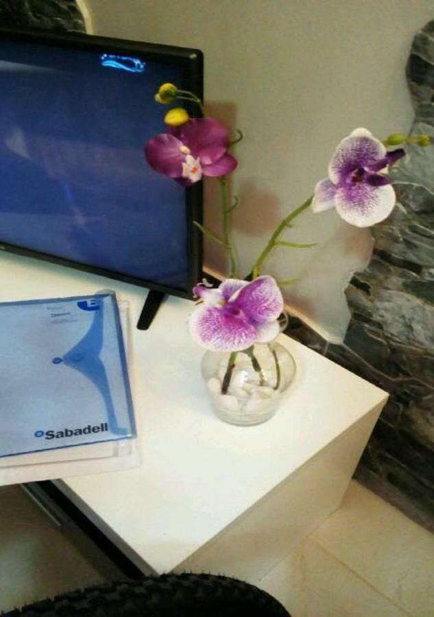 Orquidea Del Sur Apartment *
