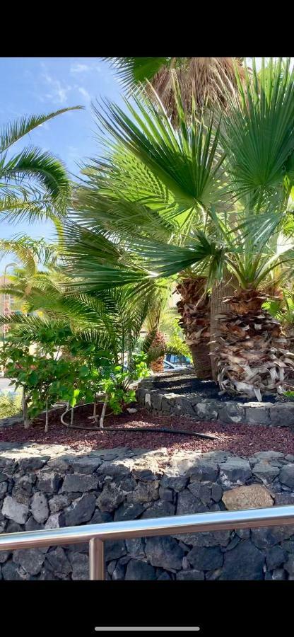 138 Los Angeles, Los Cristianos Close To The Ocean Apartment Los Cristianos (Tenerife)