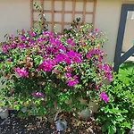 4-Bedroom Villa Los Corales With Jacuzzi, Garden, Close To Everything