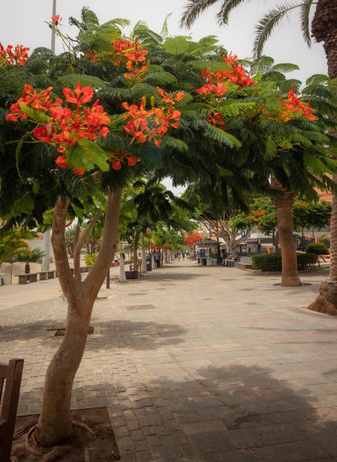Appartement El Carmen