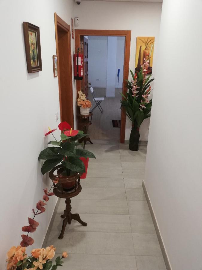 Chajofe 8 Apartment Los Cristianos (Tenerife)