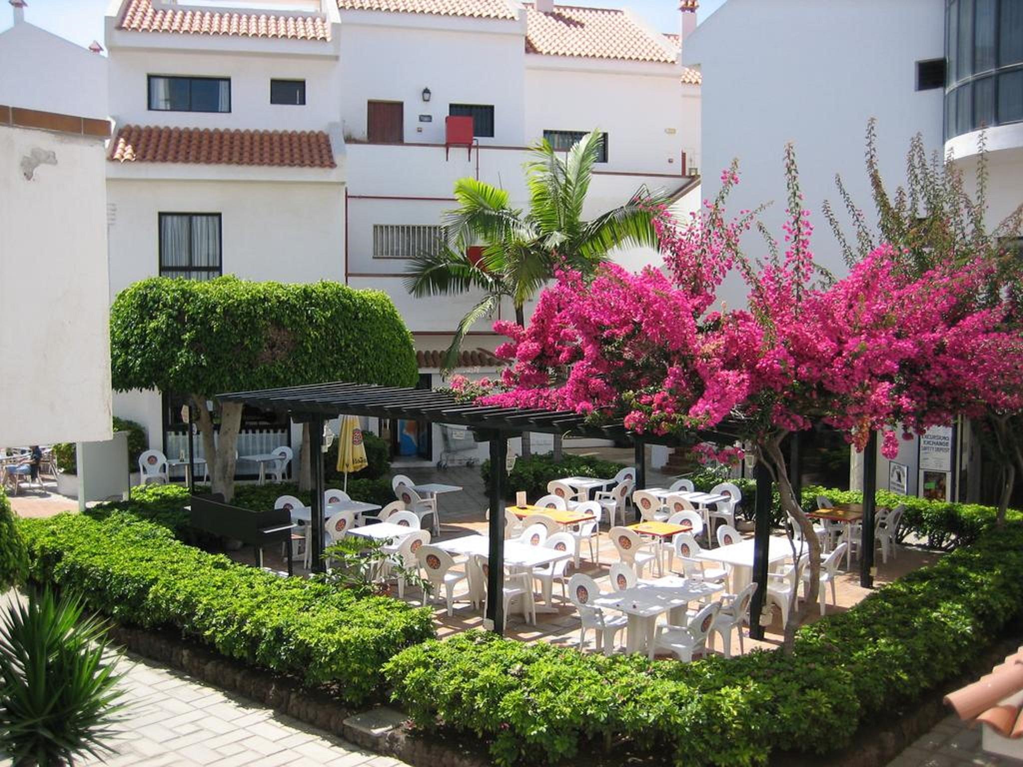 Apartment Hg Cristian Sur