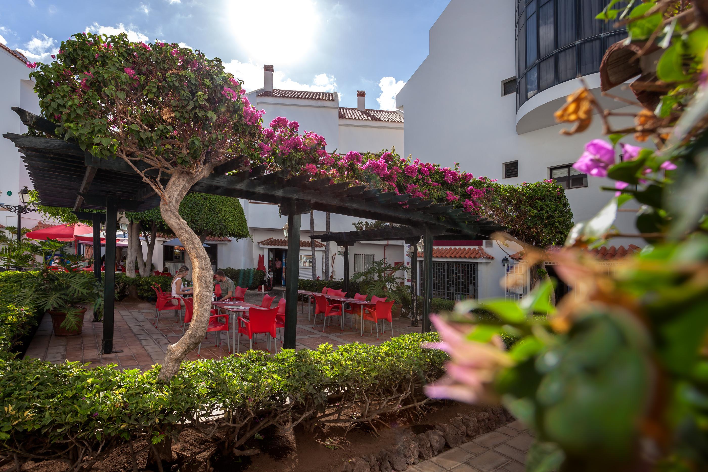 Hg Cristian Sur Apartment Los Cristianos (Tenerife)