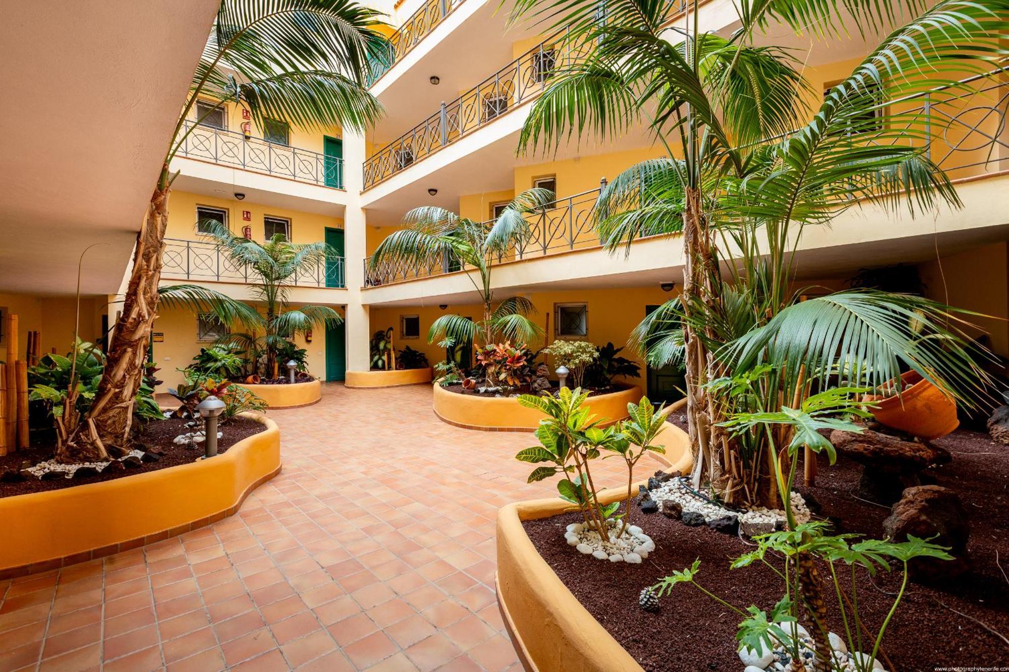 Apartment Tropical Position *