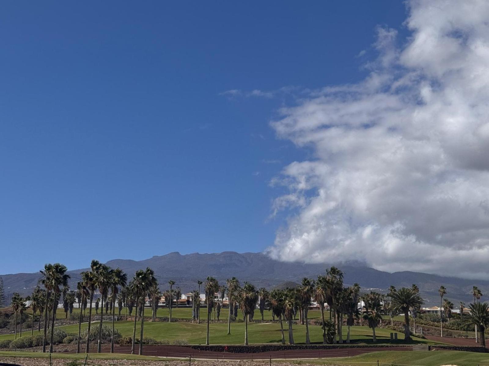 Cozy Wild * Los Cristianos (Tenerife)