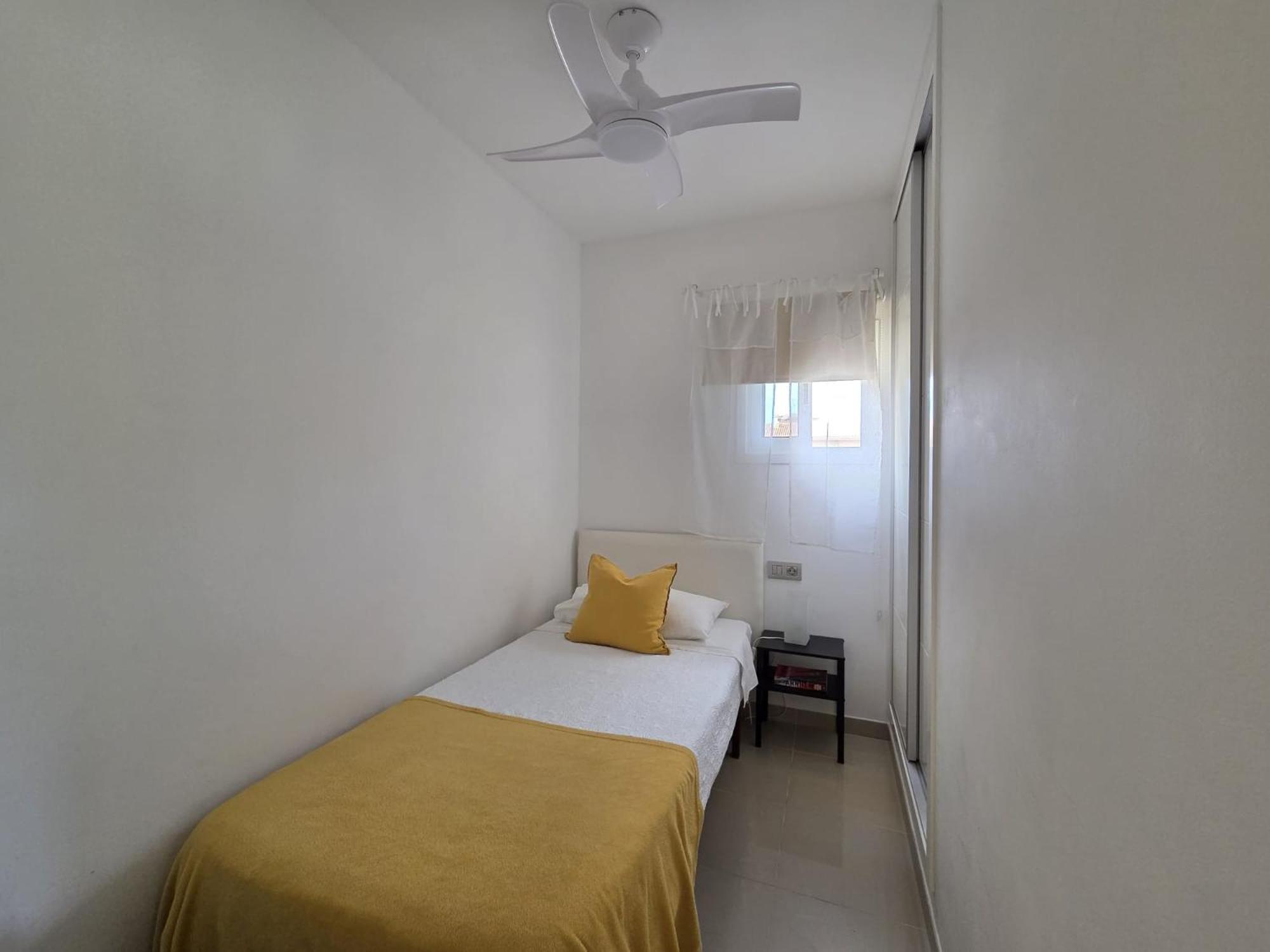 Oliva Apartment