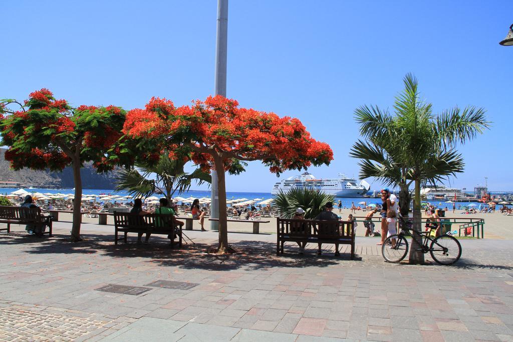 Casa Peter Los Cristianos Centro A 20 Metros Del Mar *