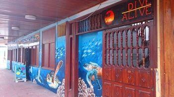 Sea Dive Alive Los Cristianos (Tenerife)