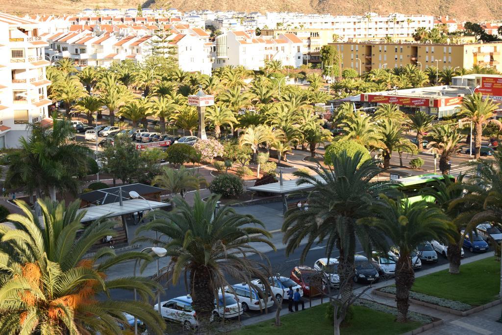 Apartment Royal Los Cristianos (Tenerife)