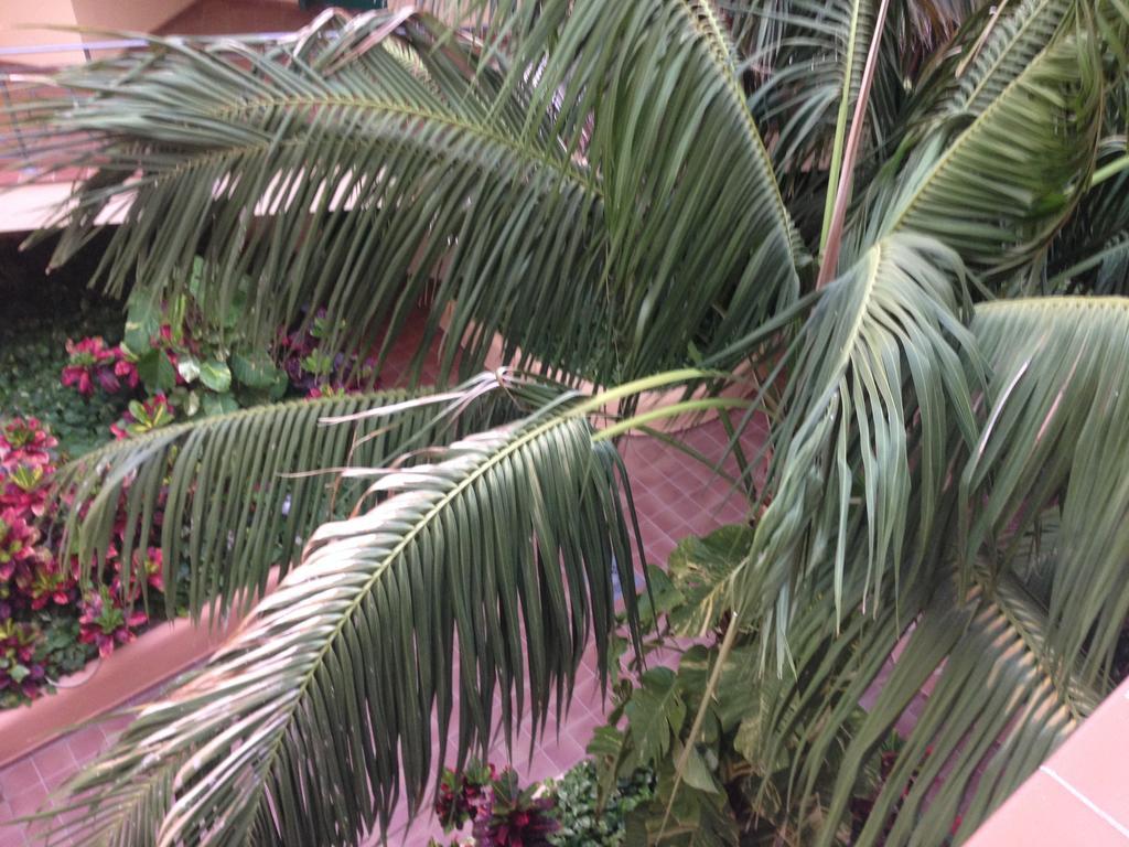 Parque Tropical Los Cristianos