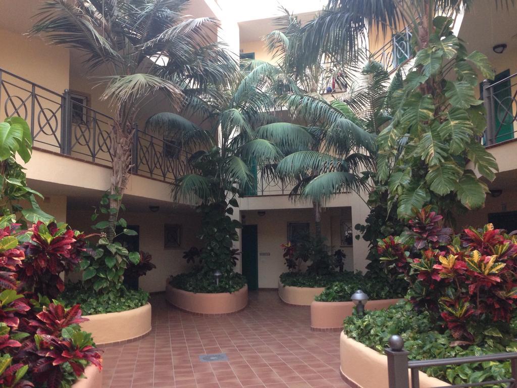 Apartment Parque Tropical Los Cristianos Los Cristianos (Tenerife)