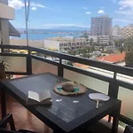 Canarian Garden Building Jardines Canarios