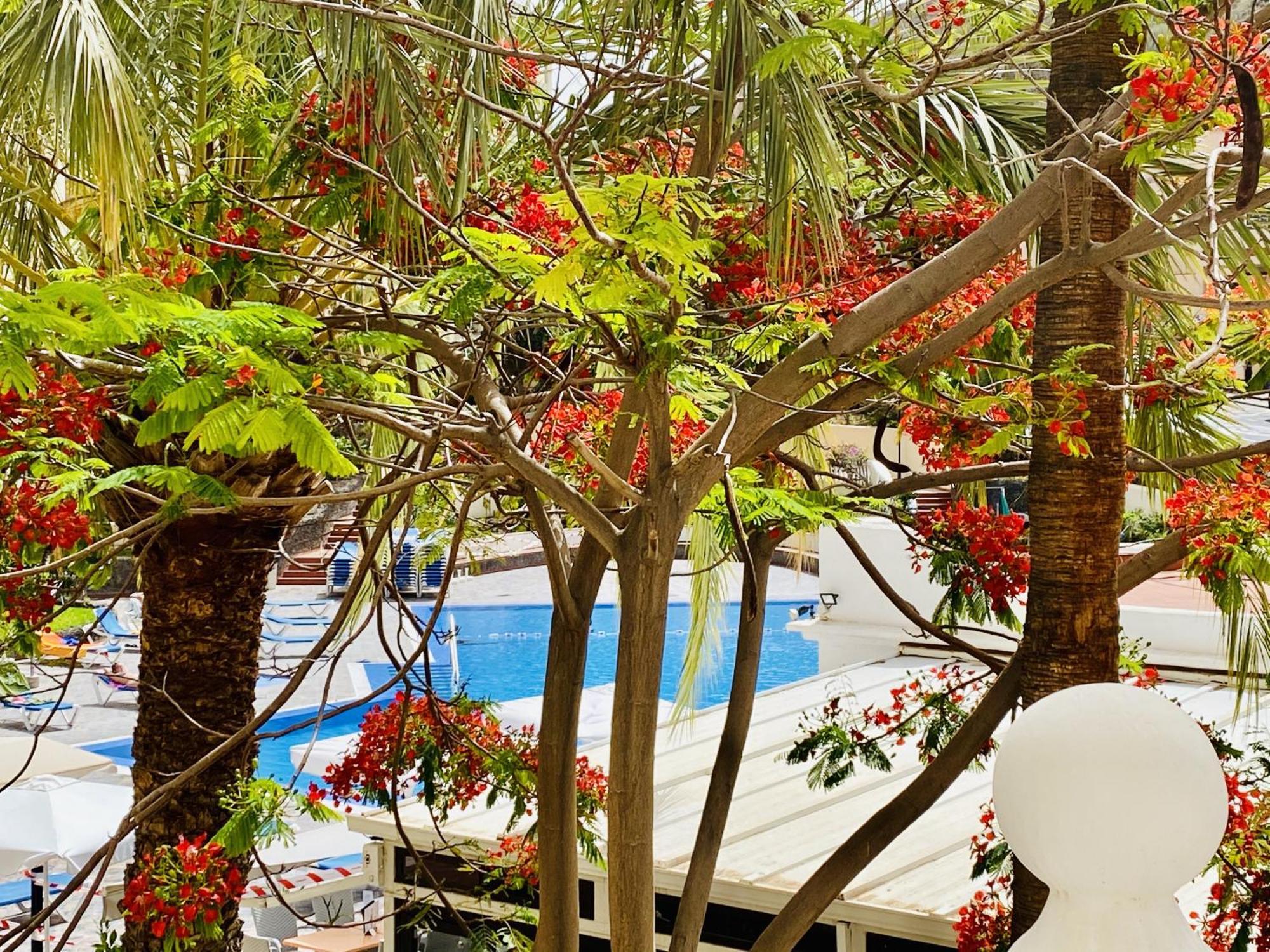 Castle Harbour Melanie's By Lovetenerife Apartment Los Cristianos (Tenerife)