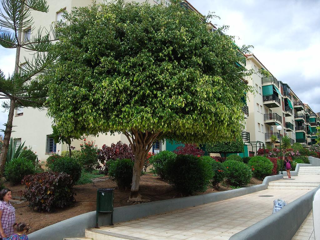 Apartamento Cristimar