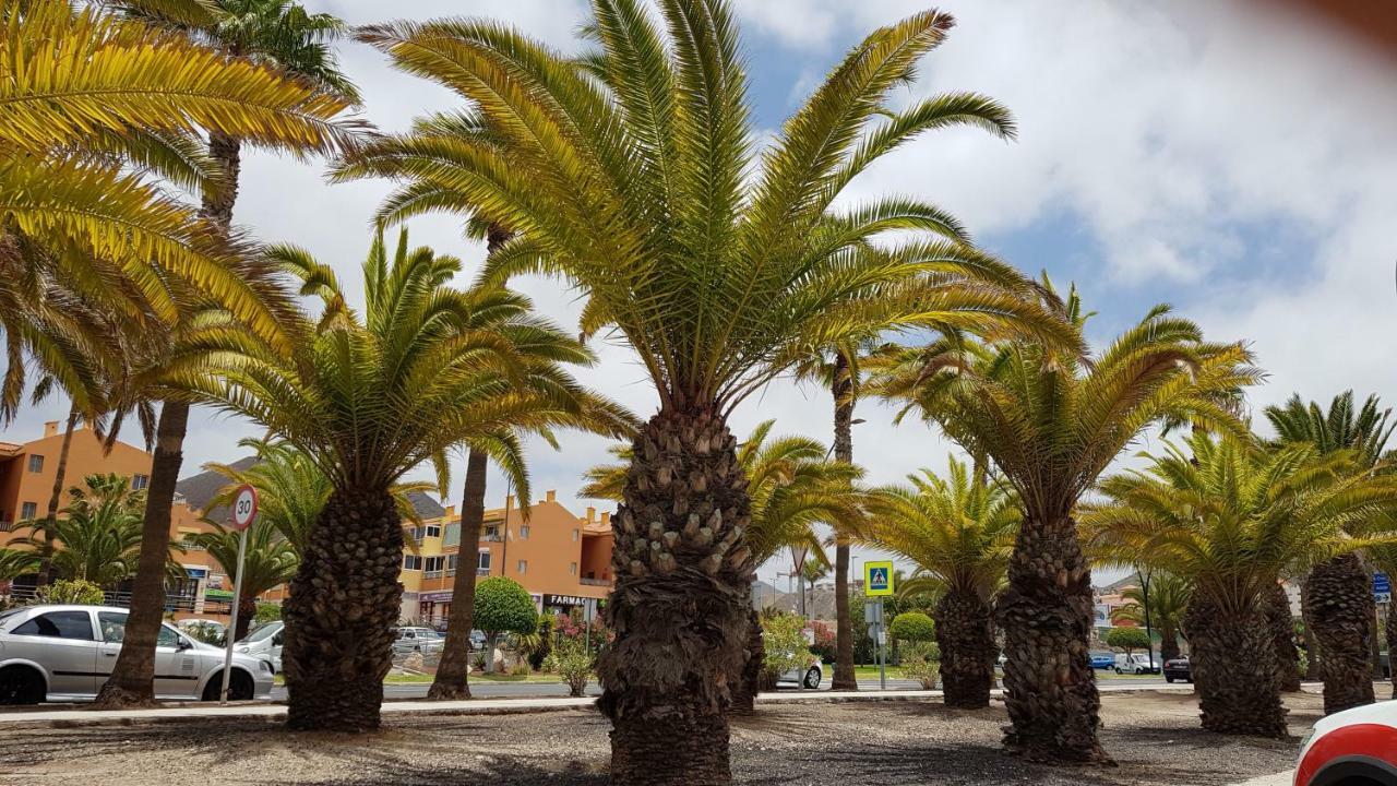 Apartment Los Cristianos Valdes Center 3